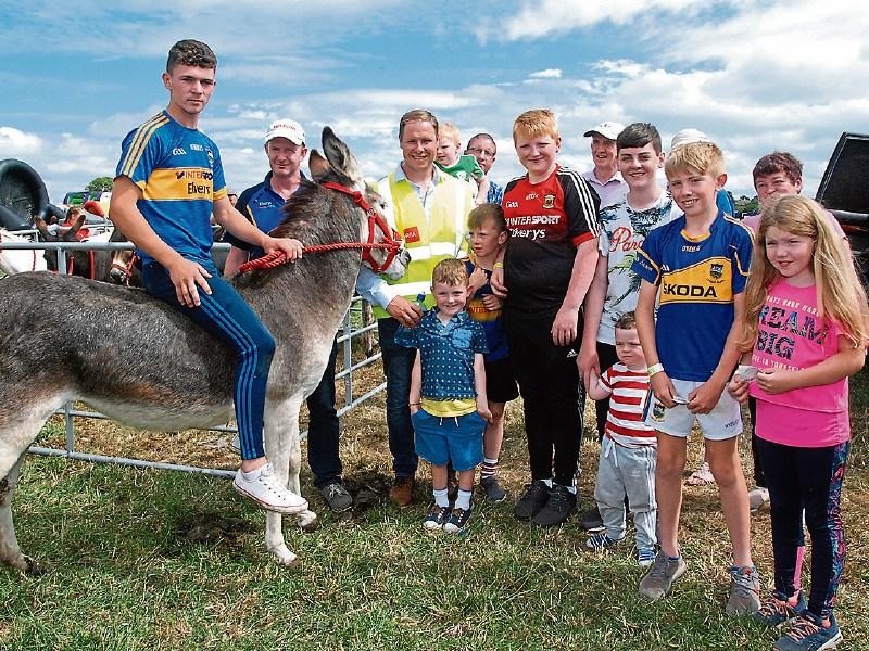 Huge success for Roscrea Horse & Pony Racing Festival/Family Fun Day