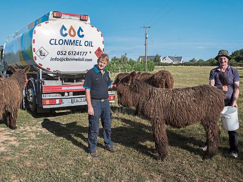 French asses will do a 'right good job' in Kilsheelan