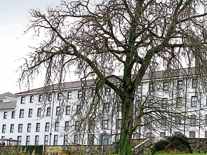 Number of patients on trolleys at South Tipperary Hospital falls to 15 