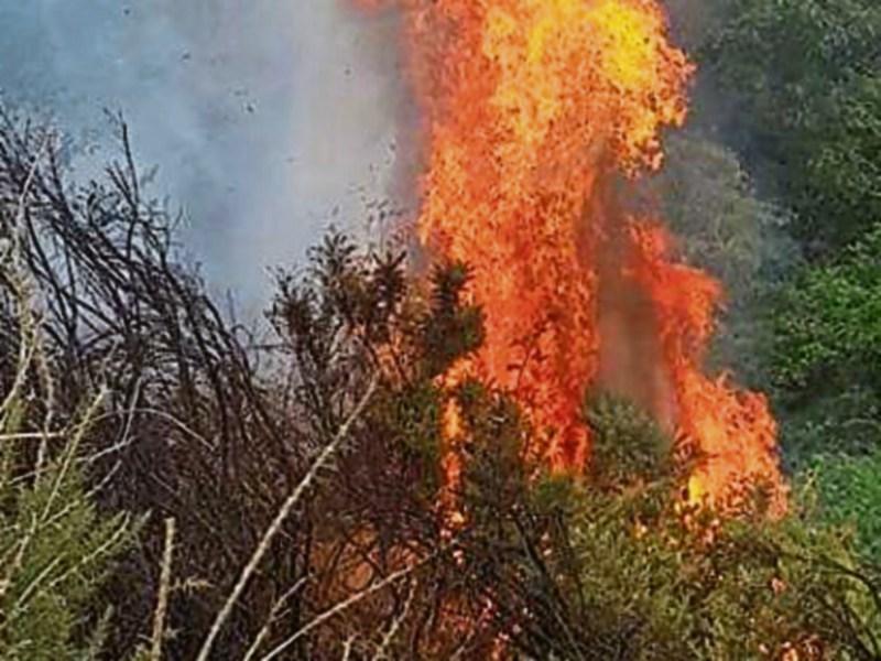 Fire fighters called to Killenaule gorse fire