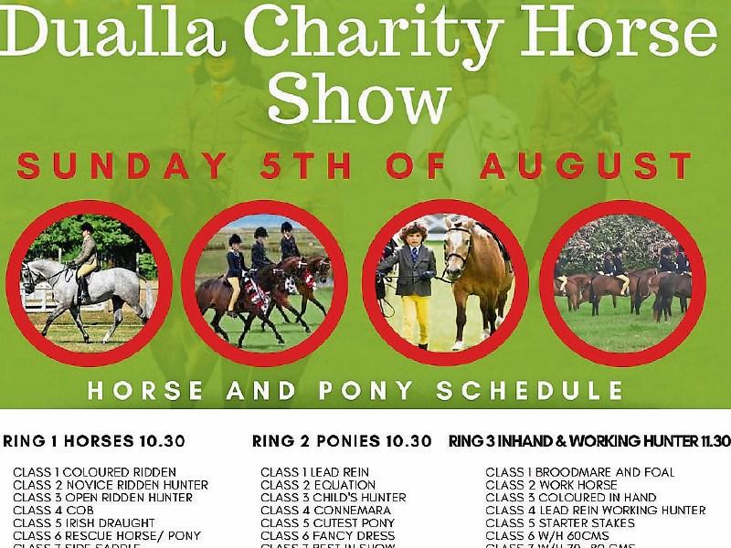 Fun Dog Show & Dualla Charity Horse Show at Dualla Threshing Festival - August 5th 