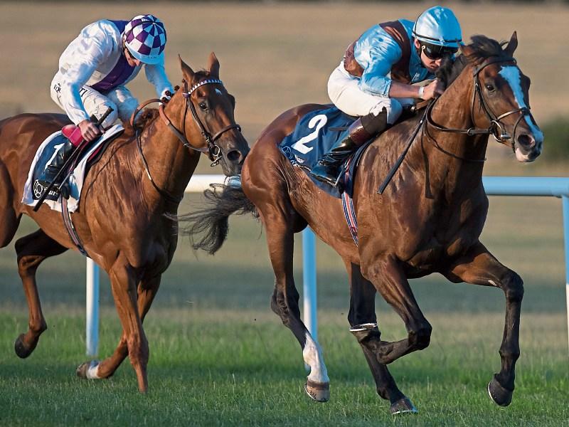 Fethard jockey Ben Coen records a fine double at Ballinrobe