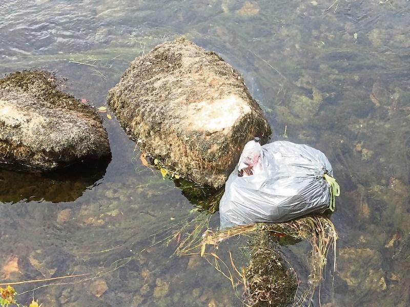 River Suir in Clonmel is 'moderately littered', new survey finds