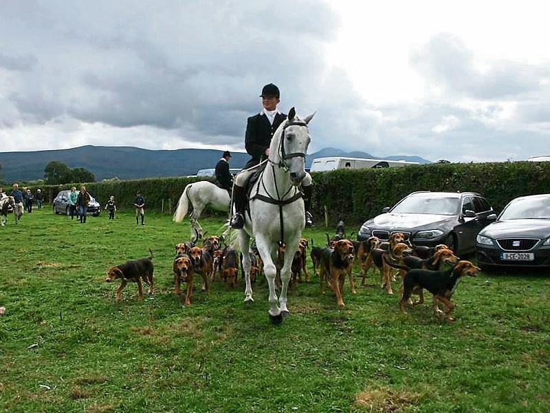 Excitement builds for Bansha Agricultural and Industrial Show in Co. Tipperary on August 22