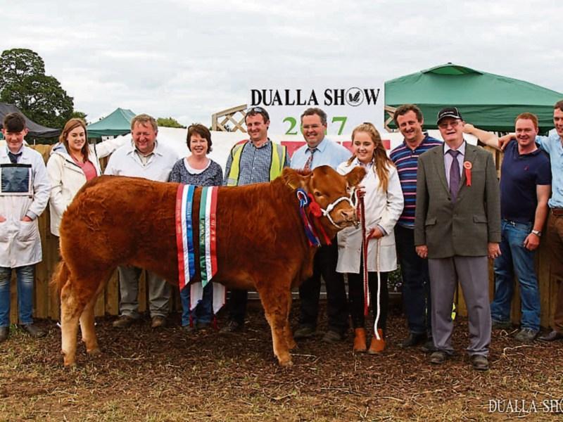 Dualla Show to put the focus on farm safety at popular event on Sunday