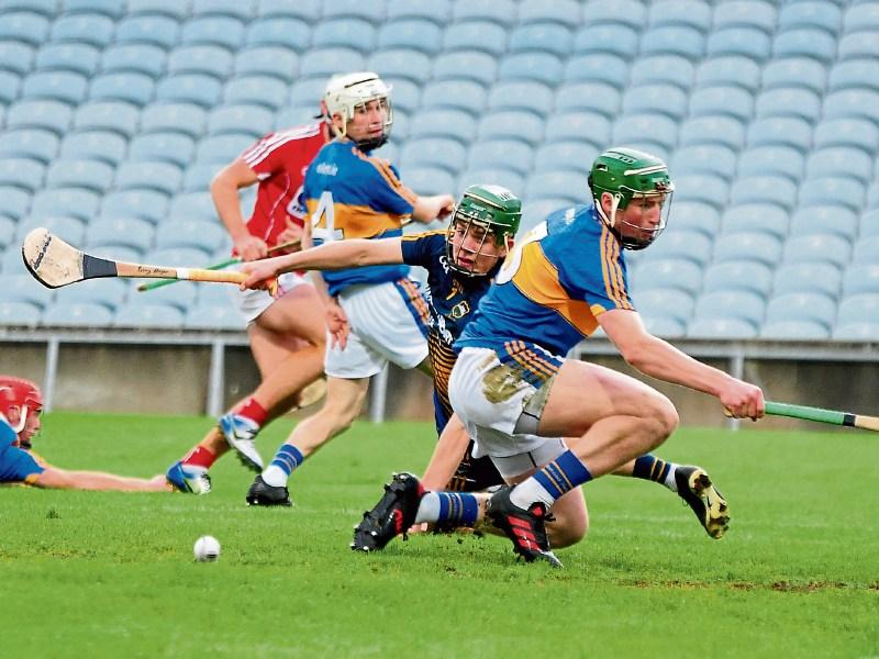 "Everyone gave it 110% out there", says Tipperary U-21 hurling star Brian McGrath