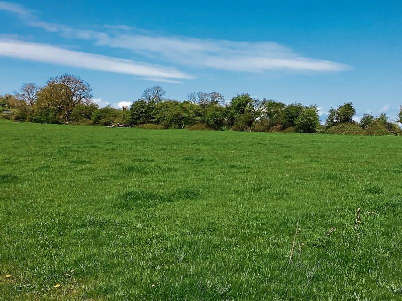 Tipperary public warned over anti-social behaviour on farmland