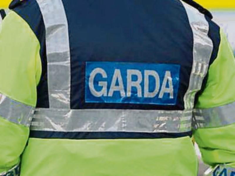 Tipperary Gardai prepare file on alleged animal cruelty at Roscrea sulky racing