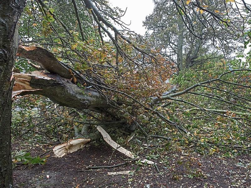 This year's first storm will be Ali followed by Bronagh as Met service names the winter storms