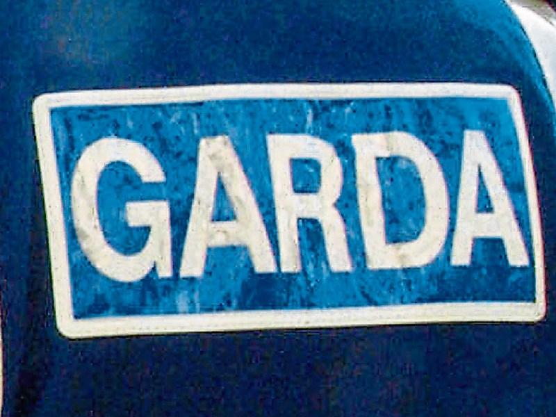 Burglars target Co. Tipperary garden centre and house on the same evening