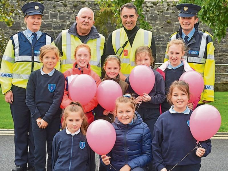 Tipperary school friends walk to support brave Roisin in her battle with cancer