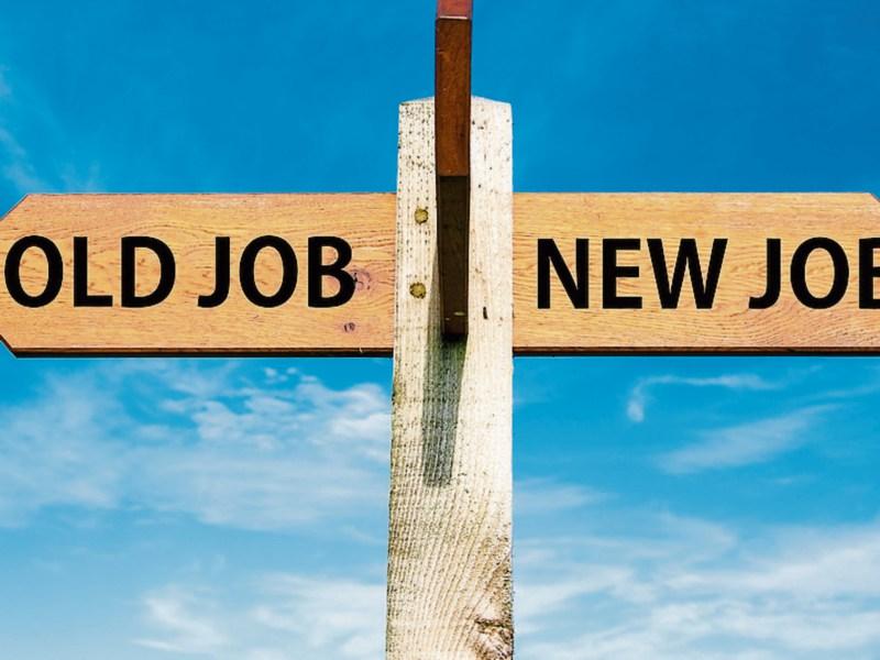 Tipperary jobs round-up - who's hiring in County Tipperary this week