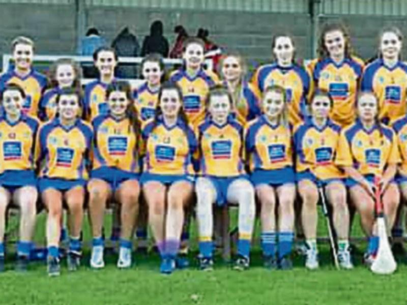 Cashel Camogie girls take on Thurles Sarsfields in County Intermediate Final on Saturday