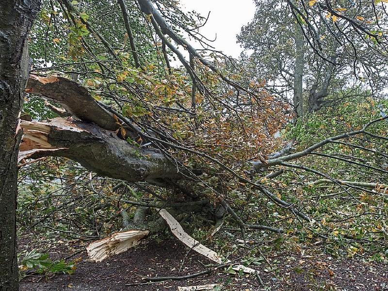 Weather warning as Storm Callum may have a damaging sting in the tail