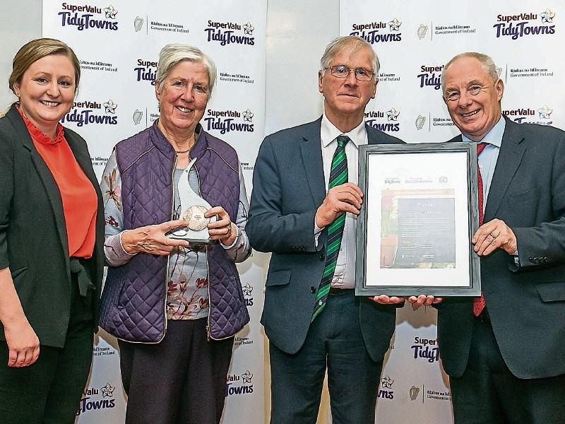 Roscrea Enhancement Committee Awards  on next Saturday, November 17