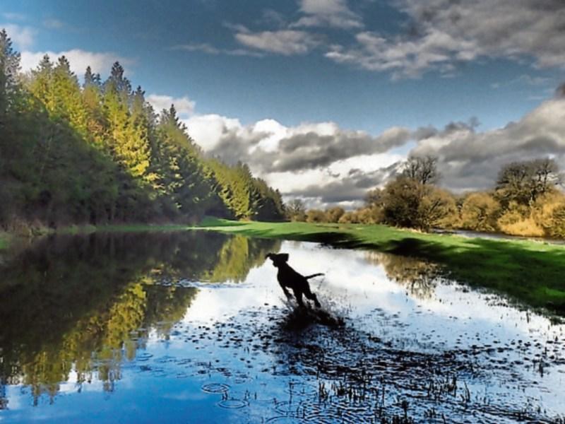 Art exhibition for Cashel and Golden by Hugo O'Donnell