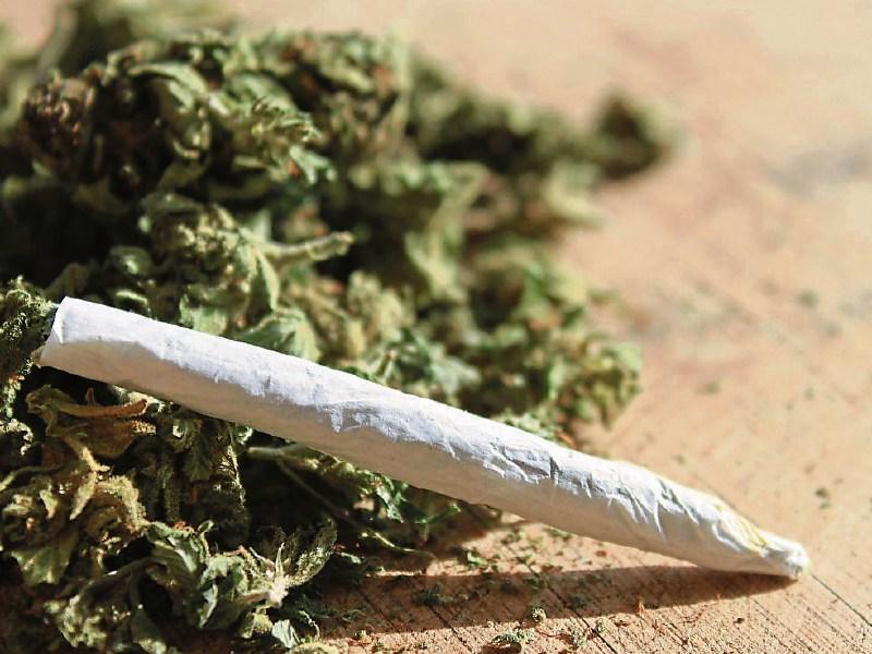 Tipperary crime: Gardai seize cannabis valued at €500 during house search in Nenagh