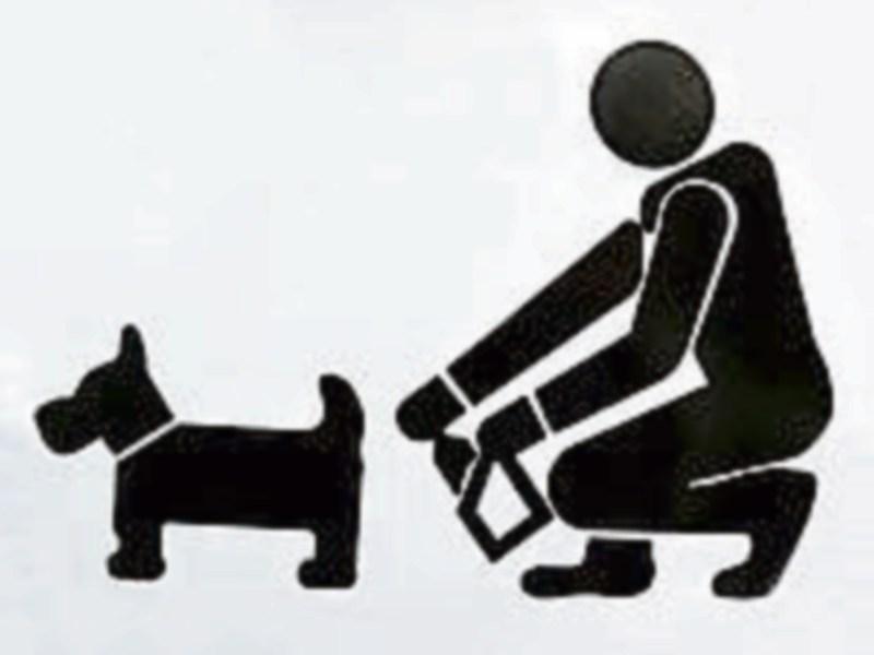 Tipperary community plans a major crackdown on dog poop in 2019