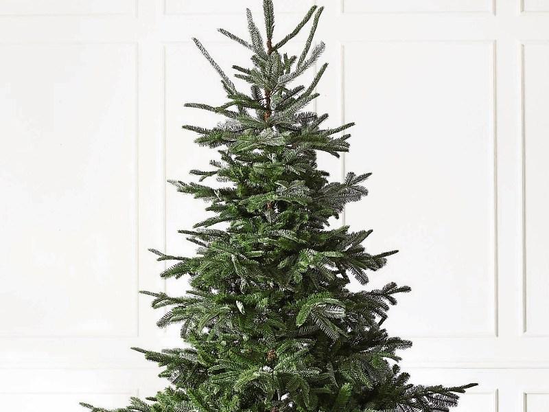 How to recycle your old Christmas tree in Tipperary Tipperary Live