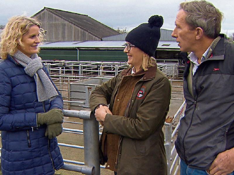 Tipperary cattle mart thriving again following tragic death of its owner in 2012