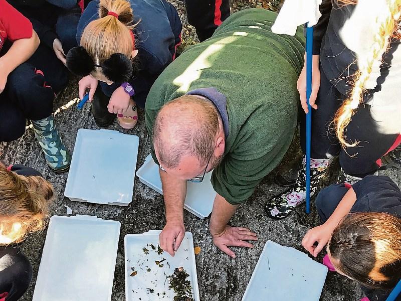 Tipperary biodiversity project on the River Ara in line for national award