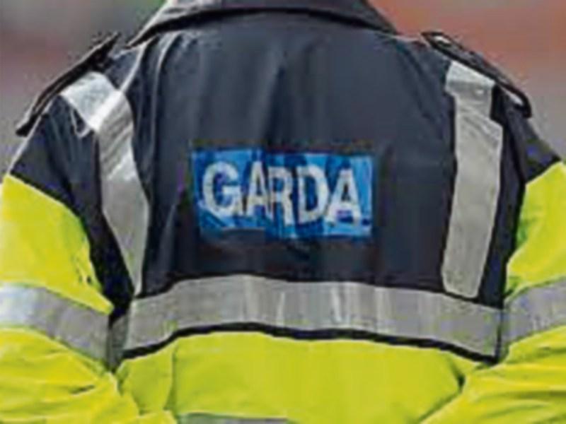 Garda investigation