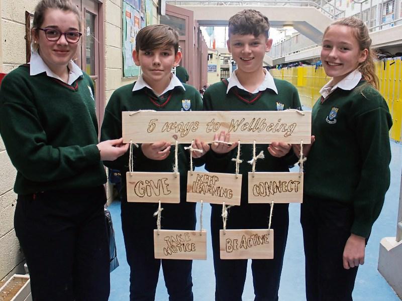 Tipperary students take part in wellness week at Cashel Community School