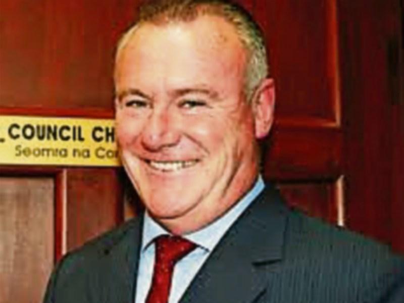 Crocodile cracks from the Stone Age on the N24 in Carrick-on-Suir, council meeting told