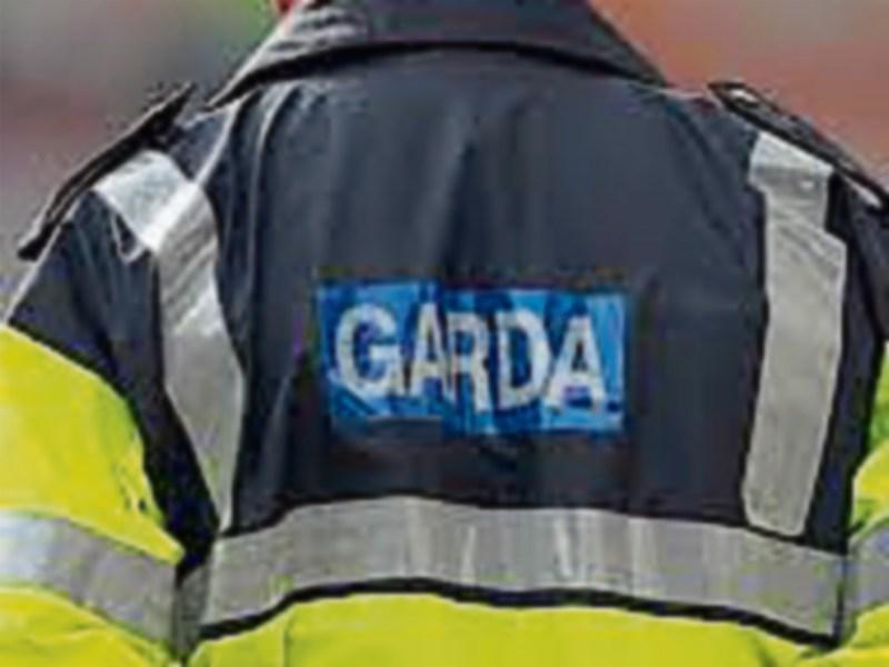 Tipperary gardai discover emaciated and dead animals in Ballingarry