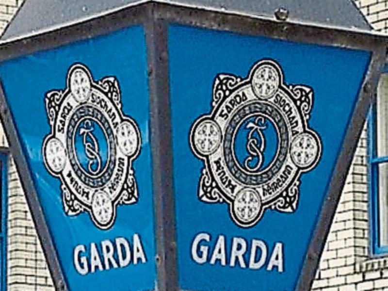 Gardai investigate thefts from four cars in Clonmel housing estate