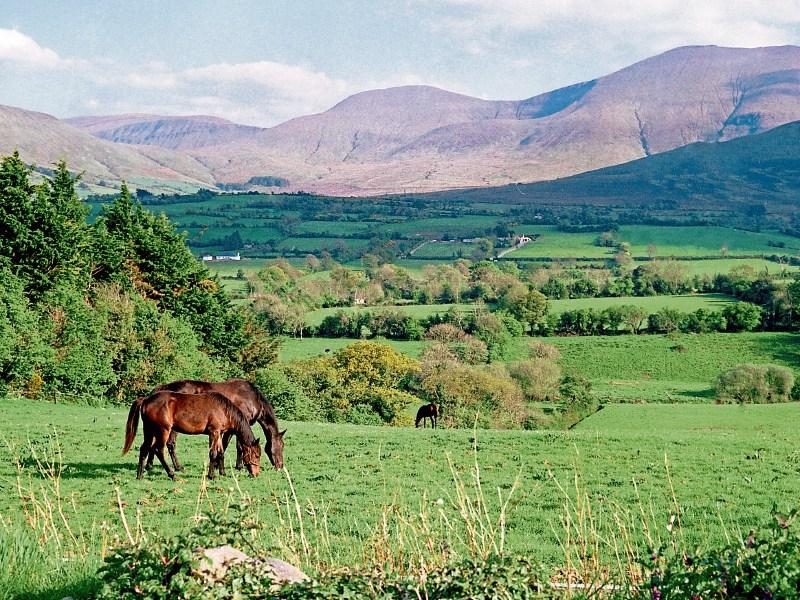 Top ten sights to see in south Tipperary