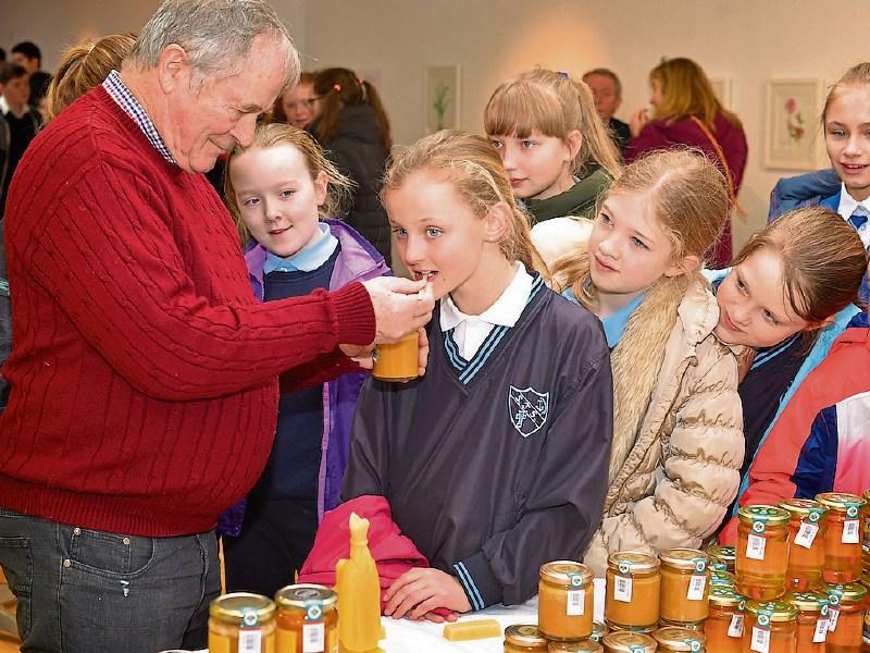 Tipperary students learn about the importance of bees and pollination