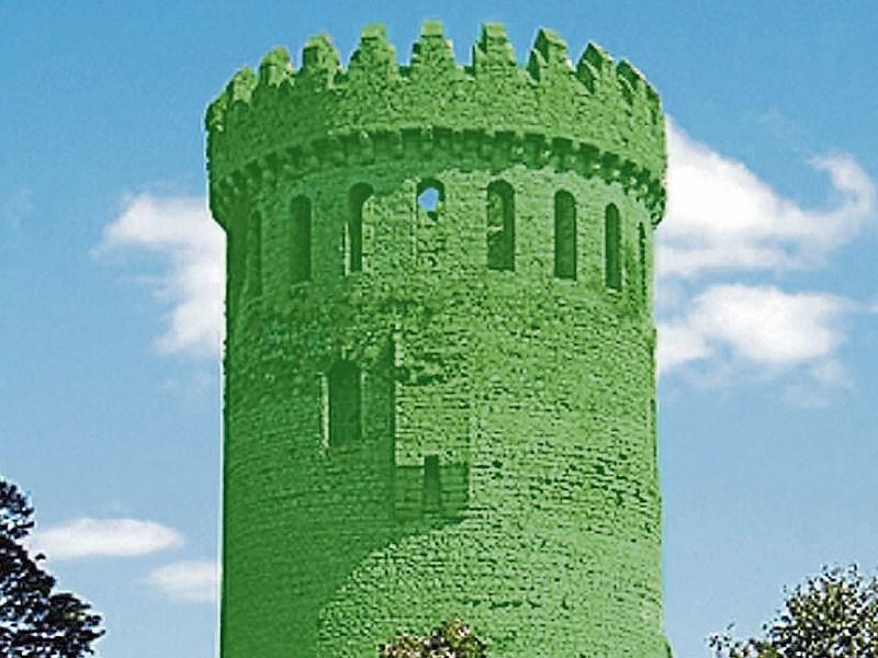 Cllr Seamus Morris calls for Nenagh Castle to be floodlit