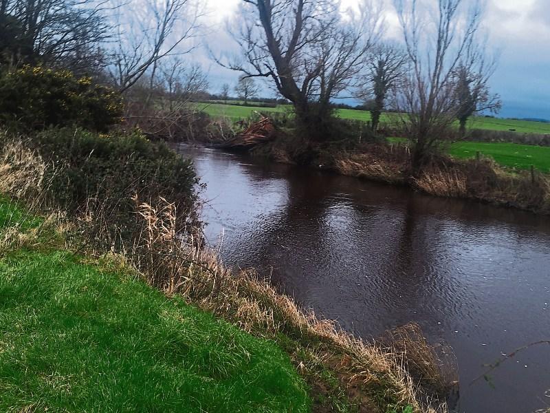 Public meeting to be held to discuss ambitious river project in Tipperary town