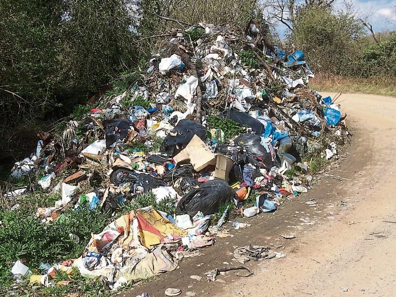 Large scale dumping in Templetuohy criticised by visitor returning from Australia