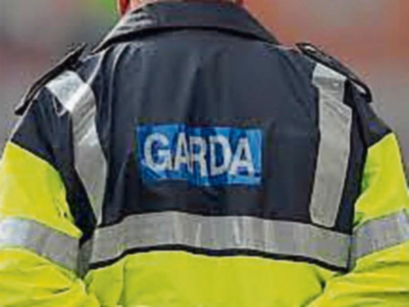 Tipperary garda&iacute; seize cannabis  valued at &euro;300 in Roscrea search