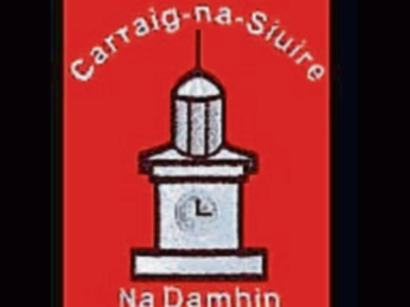 Carrick Davins U13 footballers reach South semi-final 