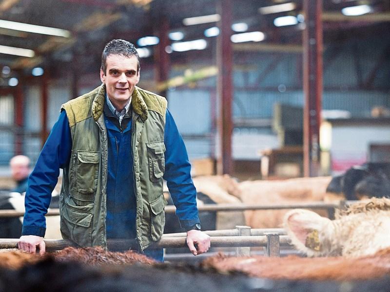 Tipperary farming: Beef farmers ‘fed up with empty promises’ to Brexit