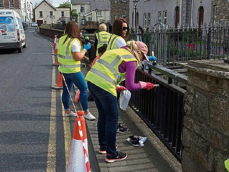 A call for volunteers from Roscrea Tidy Towns group