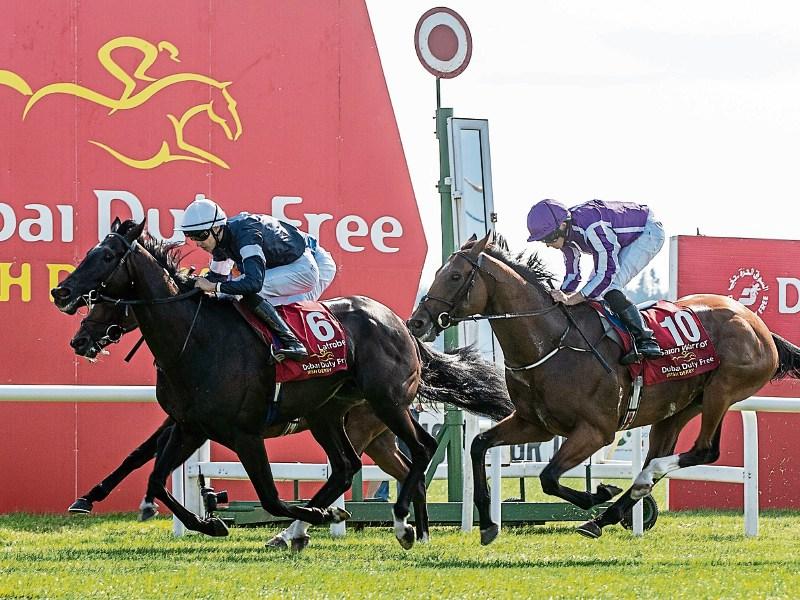 Family fun  on the cards at Tipperary Racecourse 