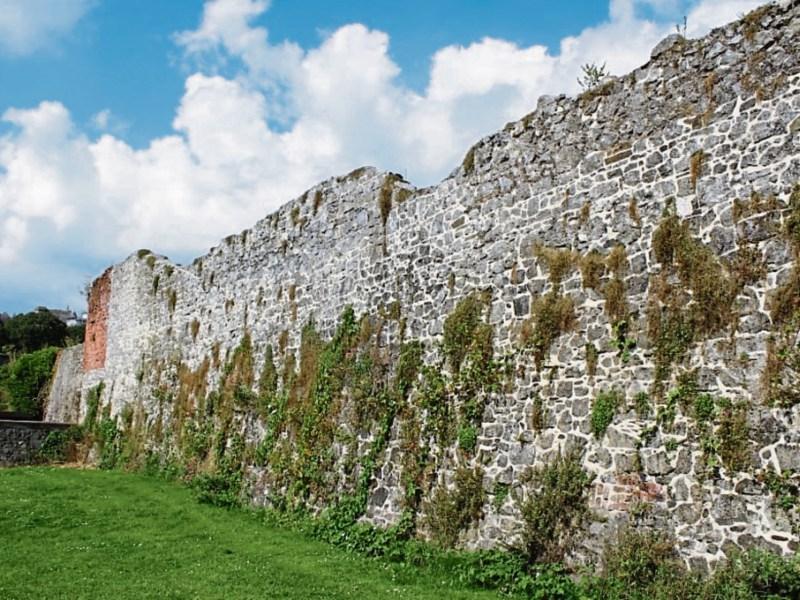 Cashel Arts Fest poetry competition celebrates 700 years of the town walls 
