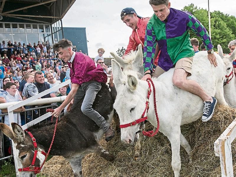 Visitor numbers at Clonmel Show matched event’s turnout record, according to organisers  