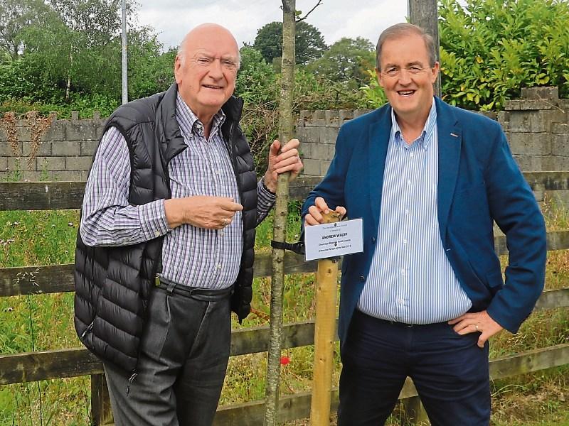 Roscrea People, Tidy Towns, and Community Employment scheme join forces in tree planting campaign 