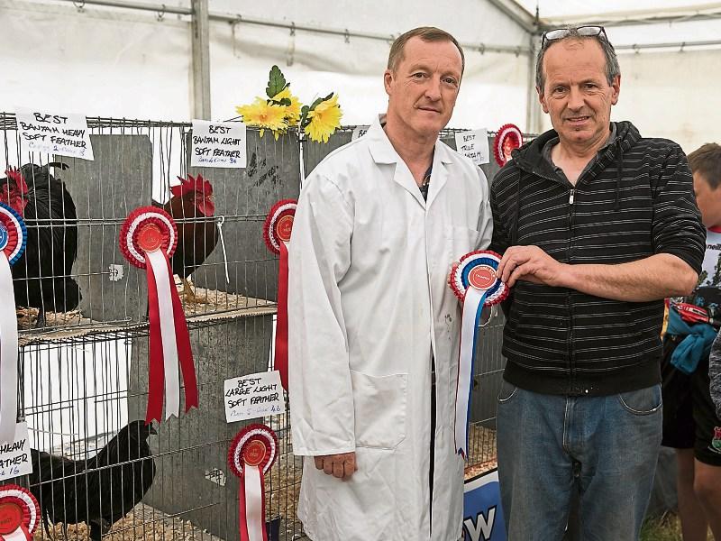 All the results from Clonmel Show for cattle, sheep, goats and horses