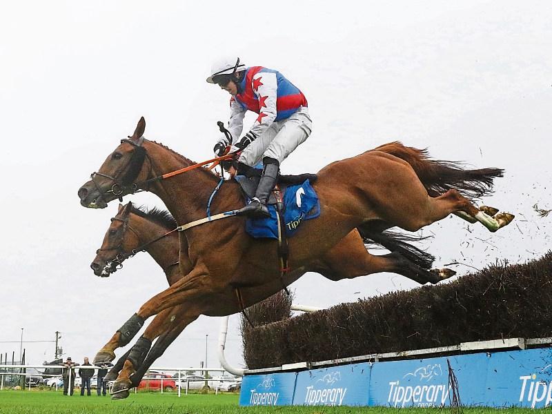 Ocean Glandore makes it back-to-back wins at Tipperary races