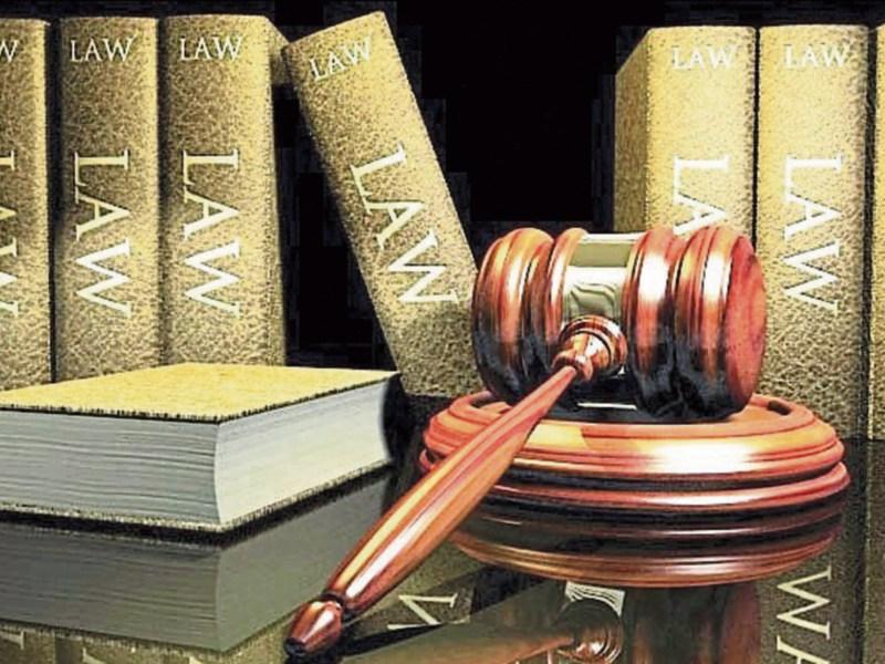 Man caught cultivating 112 cannabis plants in Co. Tipperary loses appeal against his five year jail sentence 