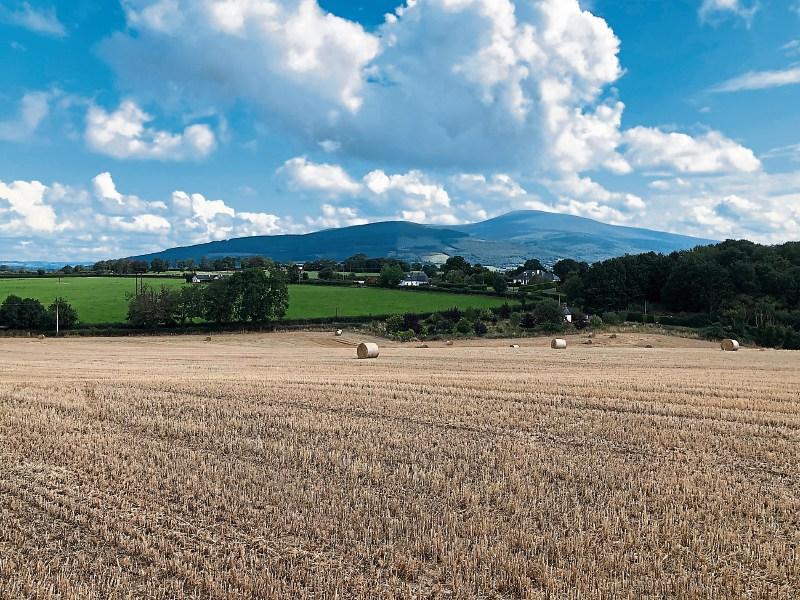 Tipperary land sales forty acres of prime site near Clonmel for