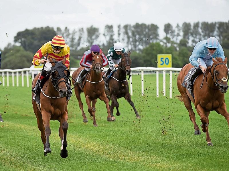 What a great run of winners for Tipperary trainers and jockeys