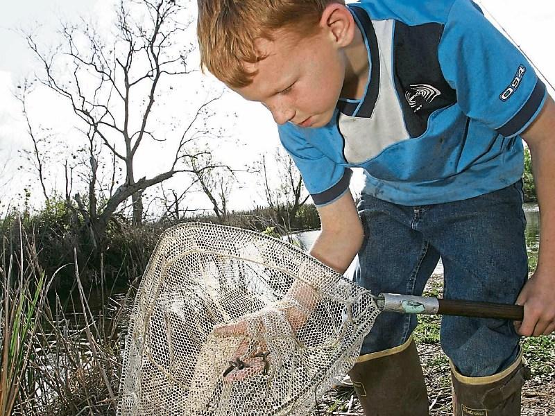 Tipperary's River Ara Wildlife Festival is up and running today and tomorrow