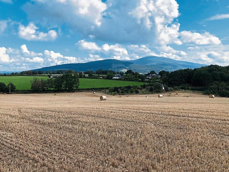 Clonmel land sells for €740,000, or €18,500 per acre, at Tipperary auction